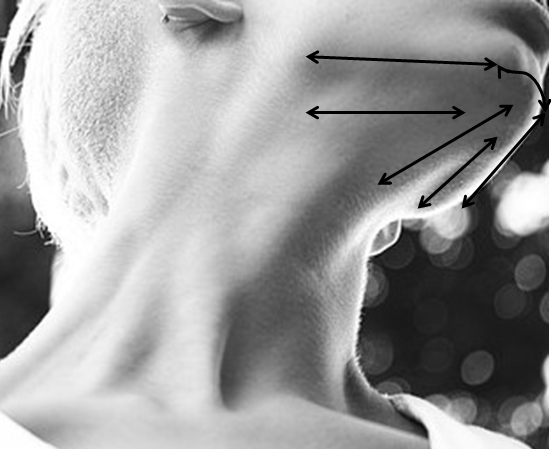 Directions for chin massage