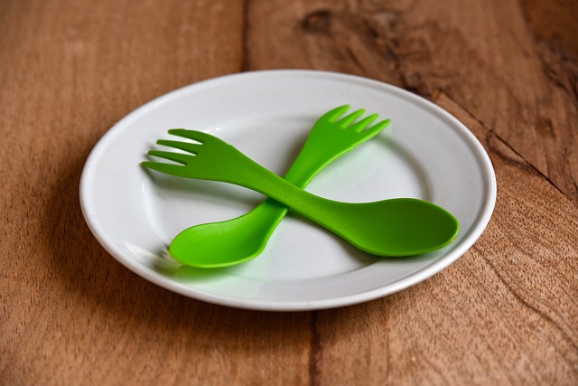 Plastic Plate and spoons