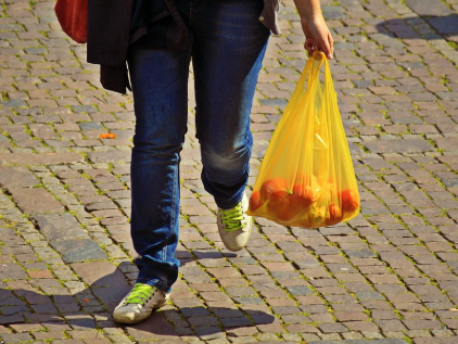 Polythene bag