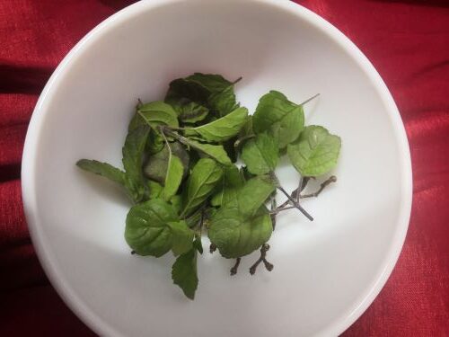 Tulsi leaves