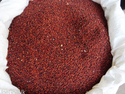 Ragi, Finger Millet